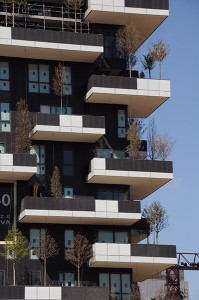 bosco verticale_3